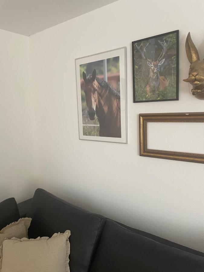 VernawahlshausenLuises Ferienglueckアパートメント エクステリア 写真